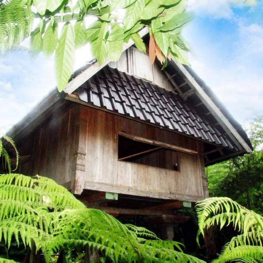 Villa Bali Mountain Retreat Selemadeg  Esterno foto