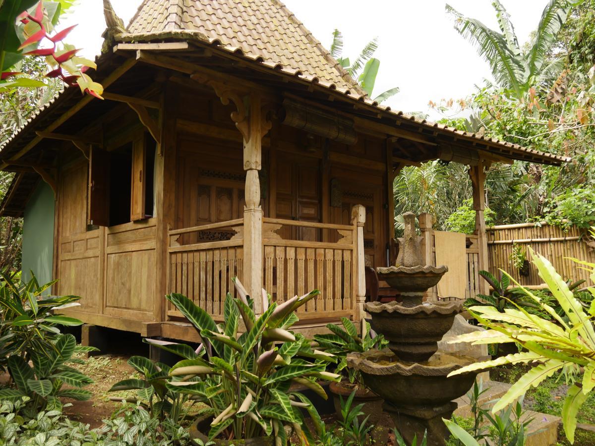 Villa Bali Mountain Retreat Selemadeg  Esterno foto