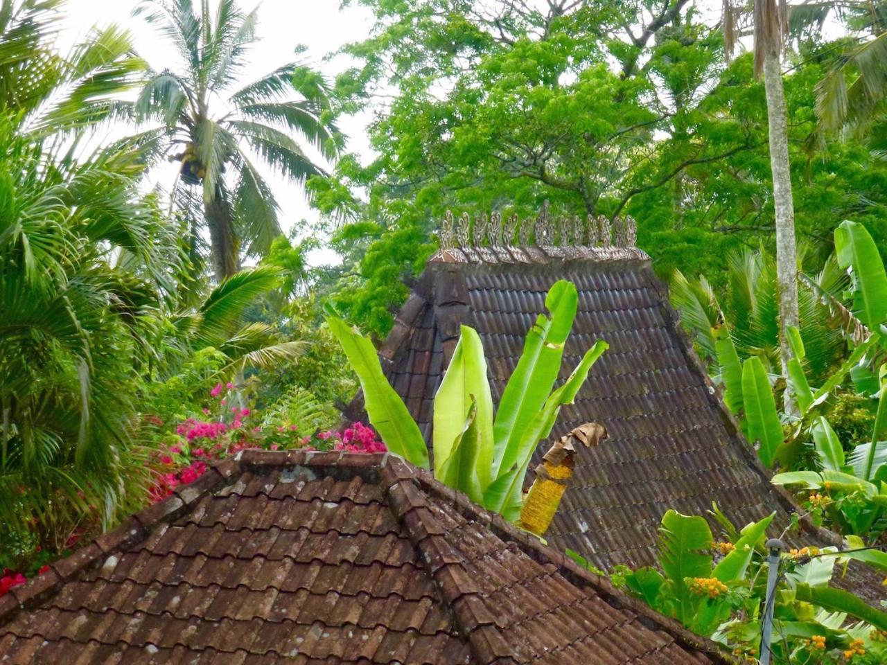 Villa Bali Mountain Retreat Selemadeg  Esterno foto
