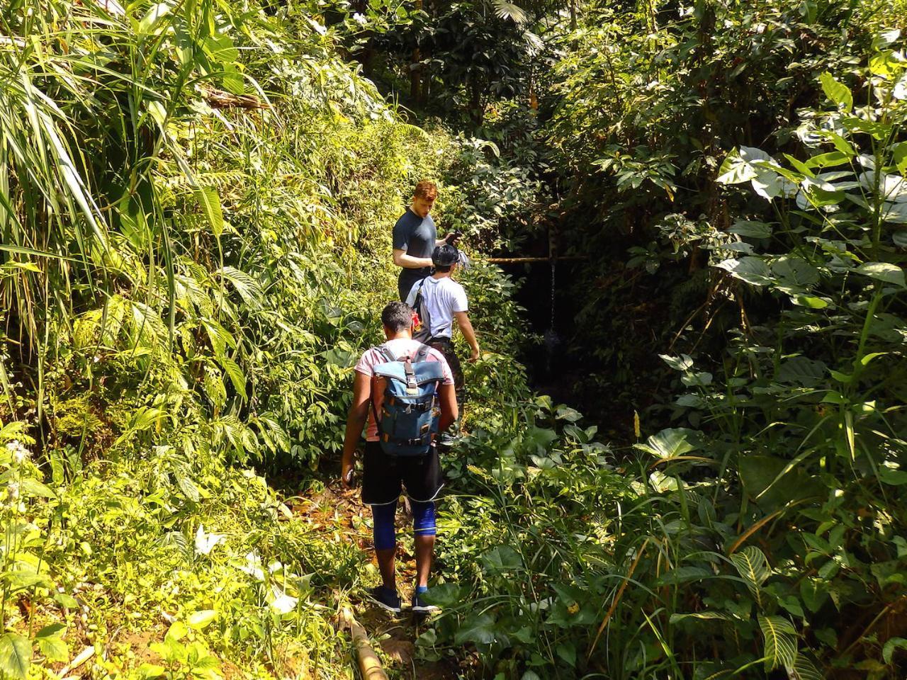 Villa Bali Mountain Retreat Selemadeg  Esterno foto