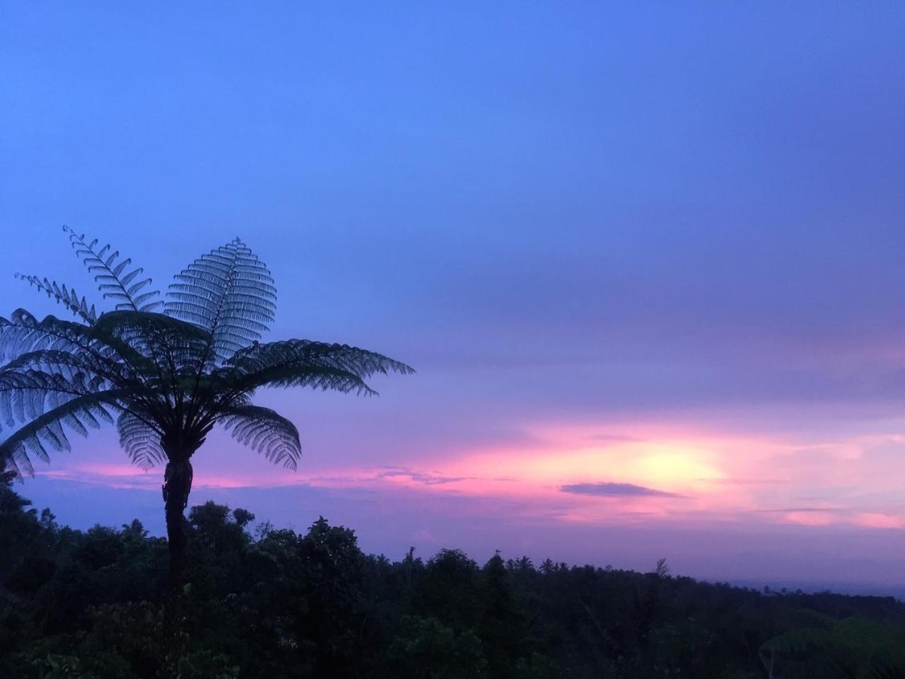 Villa Bali Mountain Retreat Selemadeg  Esterno foto